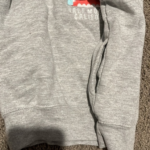 Toddler Half Moon Bay Shark Sweatshirt - Picture 4 of 5